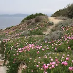 Le Di Stella Maris *