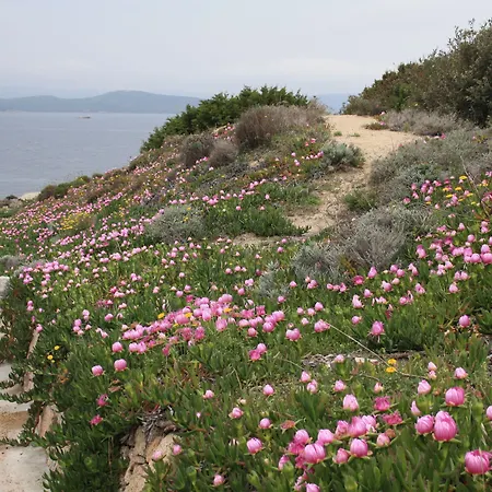 Le Di Stella Maris *