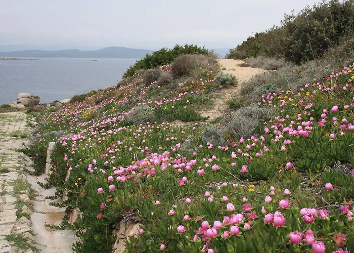 Le Di Stella Maris *